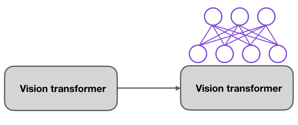 Add and finetune task-specific layers to a pretrained vision transformer