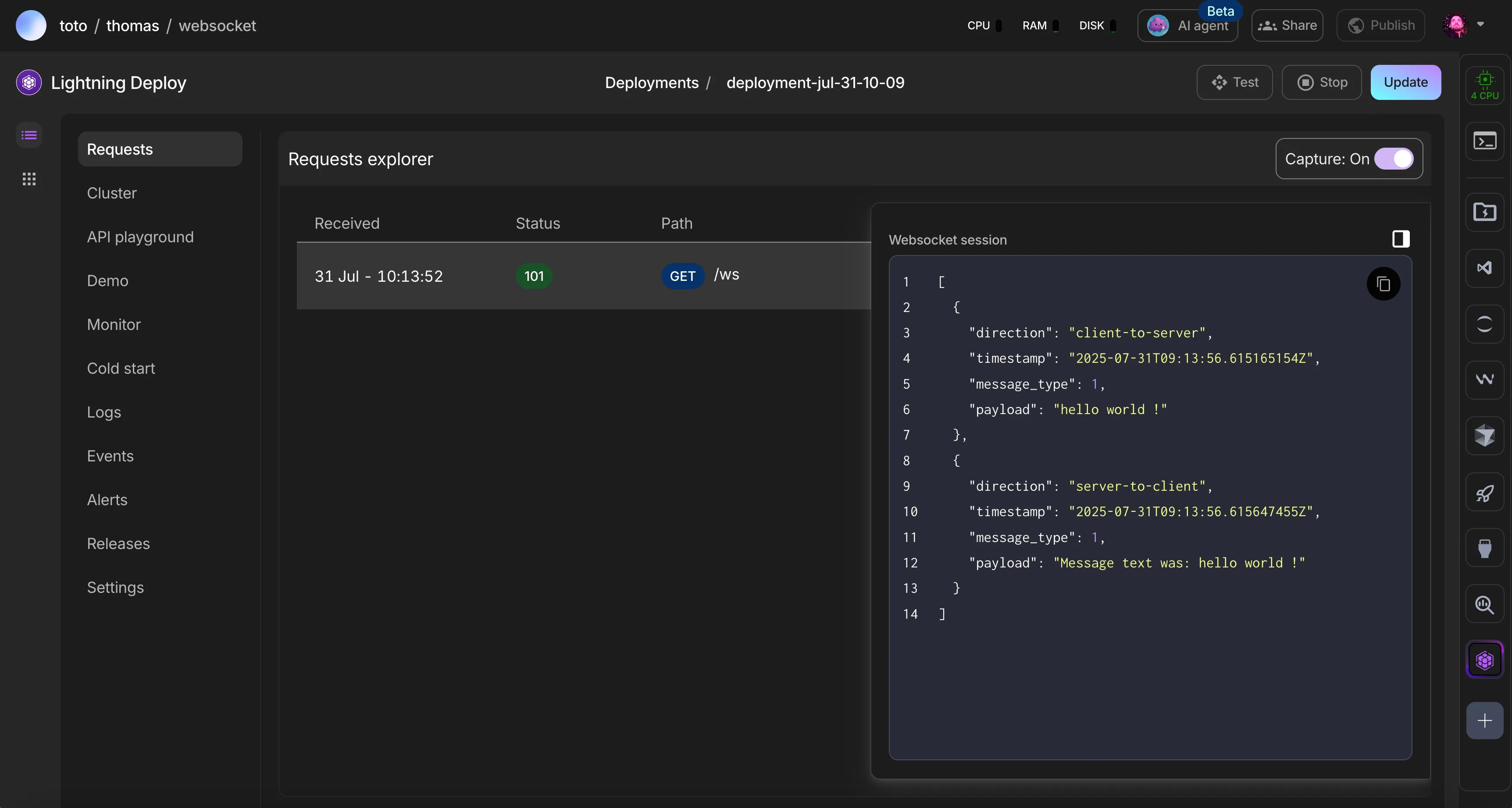 Once deployed, the websocket session are recorded and visible on the UI